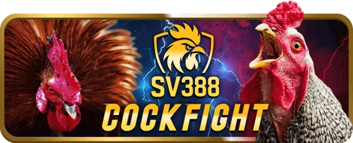 Giao diện nền tảng winvn win